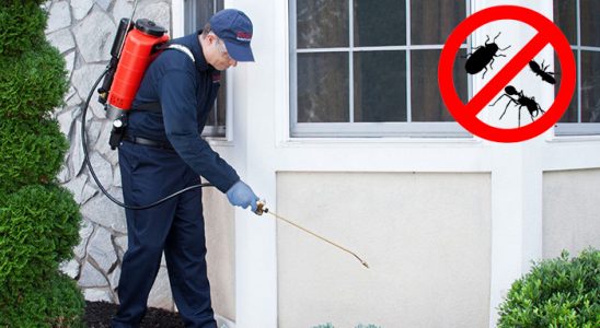 Çamlıdere Akrep İlaçlama böcek ilaçlama ve haşere kontrolü — ilaclama-tr.com